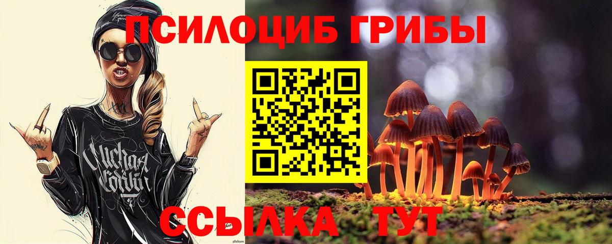 Псилоцибиновые грибы Psilocybe Верхняя Салда