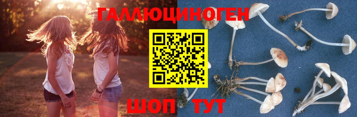 Верхняя Салда  Галлюциногенные грибы Psilocybe  Вход с VPN  Псилоцибиновые грибы Psilocybine cubensis 
